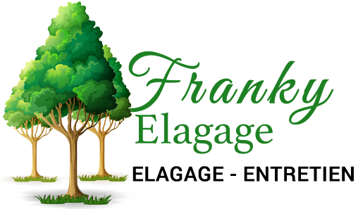 Francky elagage 52